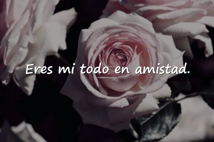 Imágenes frases de mejores amigas - 5