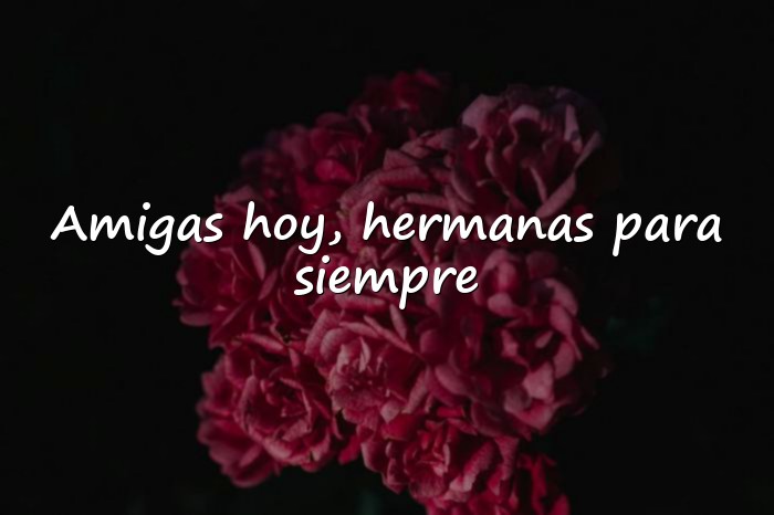 Imágenes frases de mejores amigas - 1