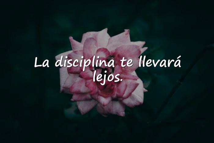 Imágenes frases de motivación personal - 8