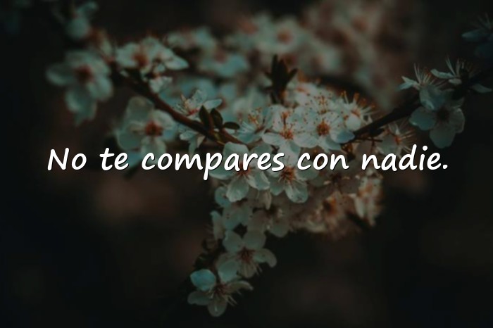 Imágenes frases de motivación personal - 4