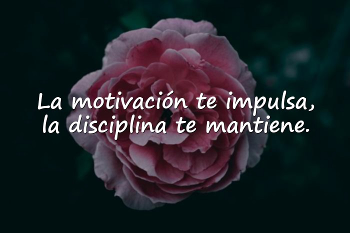 Imágenes frases de motivación personal - 2