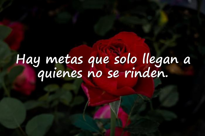 Imágenes frases de motivacion - 14