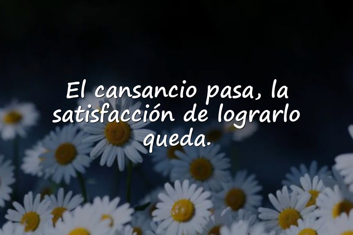 Imágenes frases de motivacion - 25
