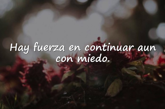 Imágenes frases de motivacion - 15