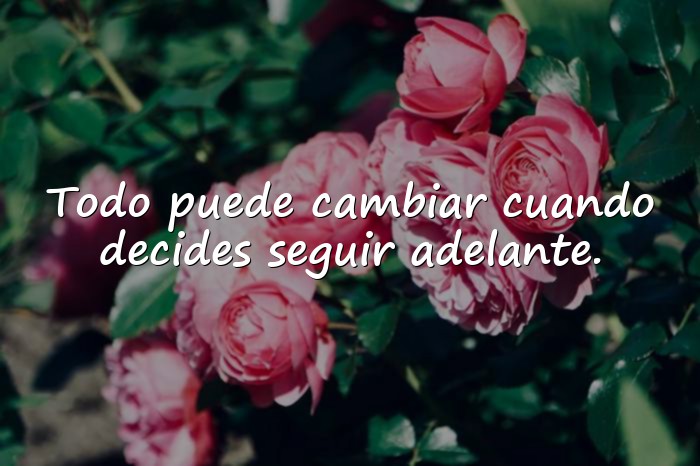 Imágenes frases de motivacion - 1