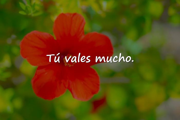Imágenes frases de motivacion cortas - 15
