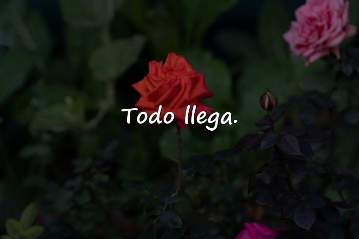 Imágenes frases de motivacion cortas - 11