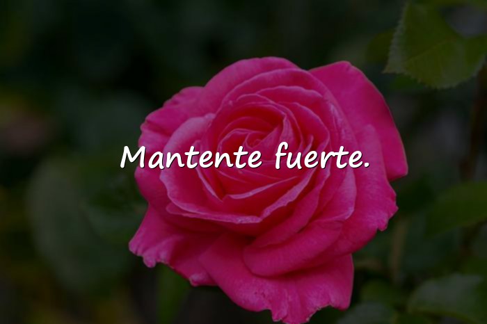 Imágenes frases de motivacion cortas - 7