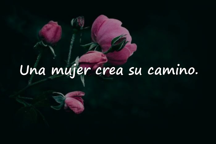 Imágenes frases de mujer - 1