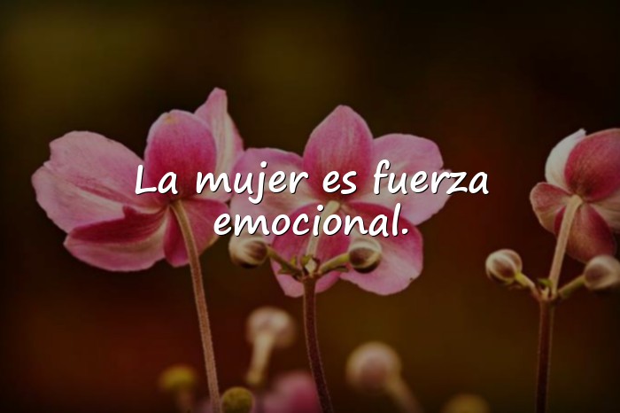 Imágenes frases de mujer - 16