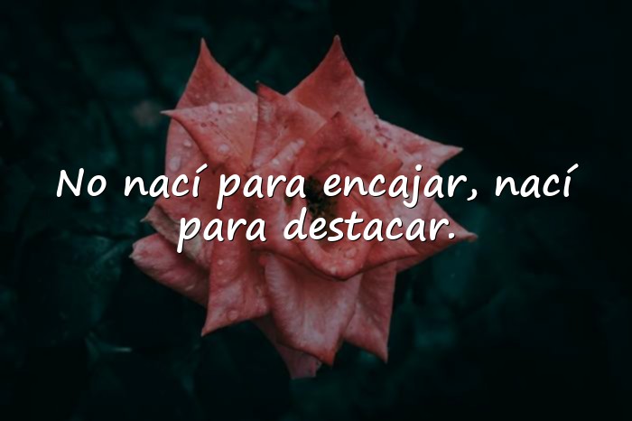 Imágenes frases de mujeres empoderadas - 13