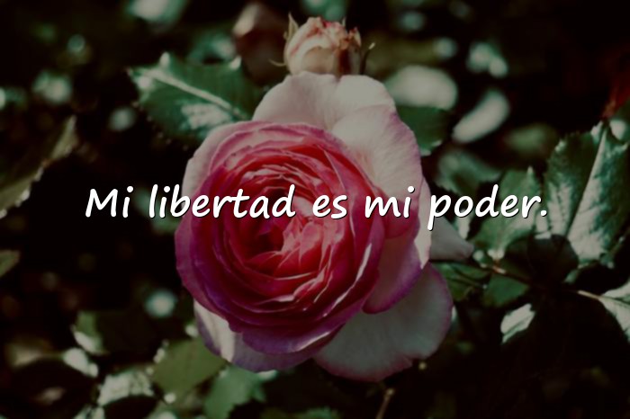 Imágenes frases de mujeres empoderadas - 5