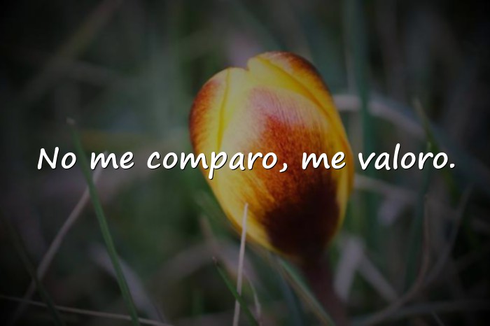 Imágenes frases de mujeres empoderadas - 23