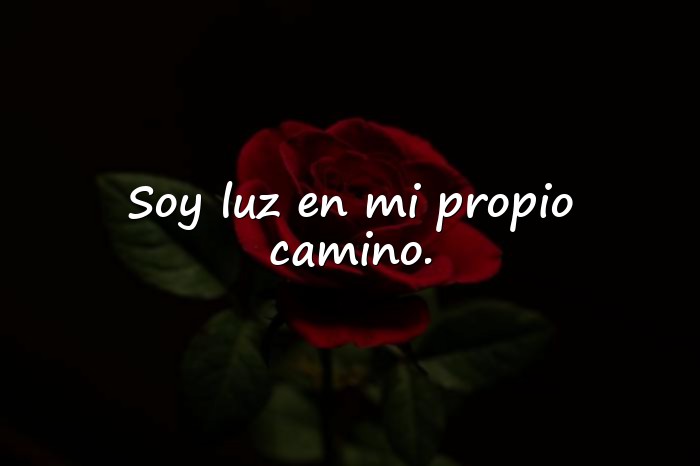Imágenes frases de mujeres empoderadas - 14