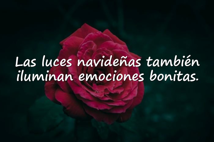 Imágenes frases de navidad - 10