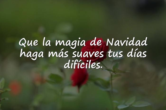 Imágenes frases de navidad - 21