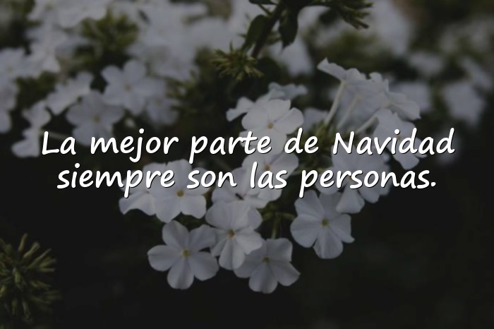 Imágenes frases de navidad - 6