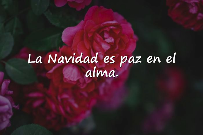 Imágenes frases de navidad bonitas - 18