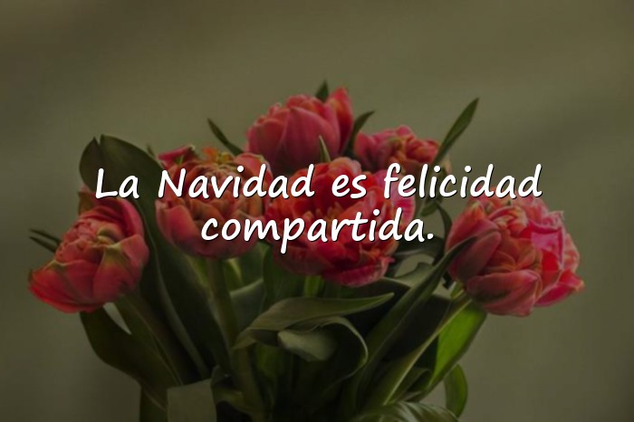 Imágenes frases de navidad bonitas - 8