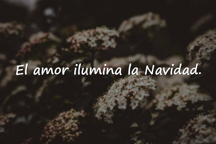 Imágenes frases de navidad bonitas - 24