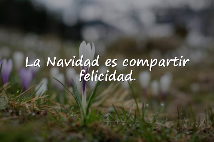 Imágenes frases de navidad bonitas - 19