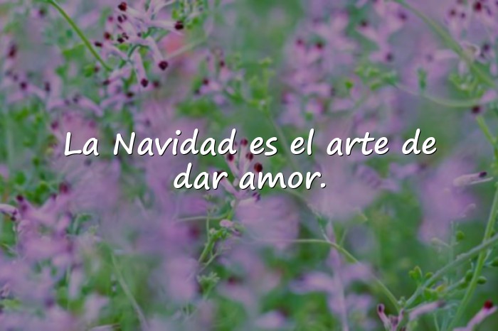 Imágenes frases de navidad bonitas - 14