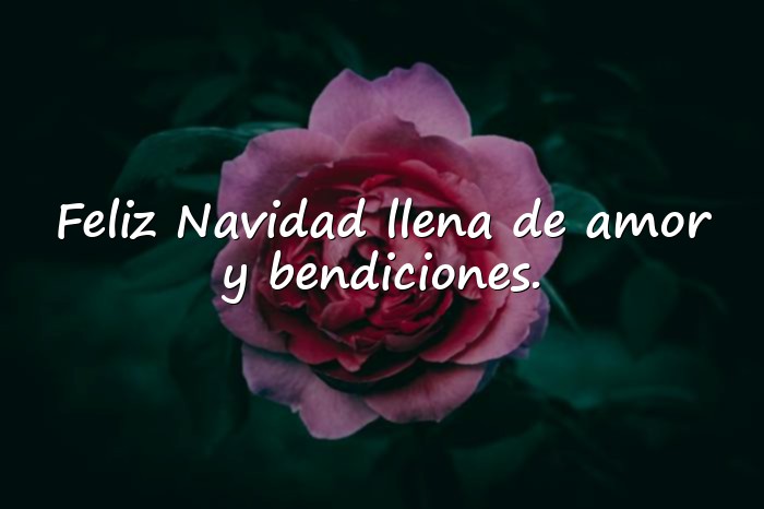 Imágenes frases de navidad bonitas - 1