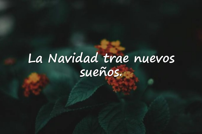Imágenes frases de navidad motivadoras - 25