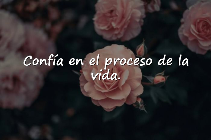 Imágenes frases de navidad motivadoras - 20