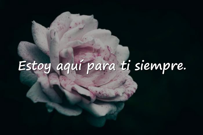 Imágenes frases de ánimo y apoyo - 5