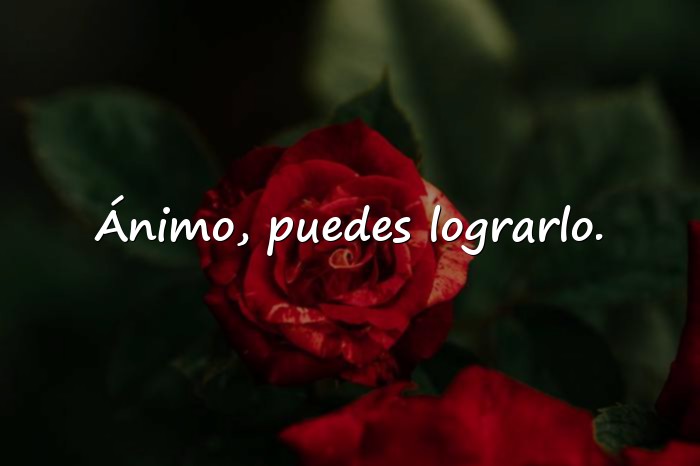 Imágenes frases de ánimo y apoyo - 20