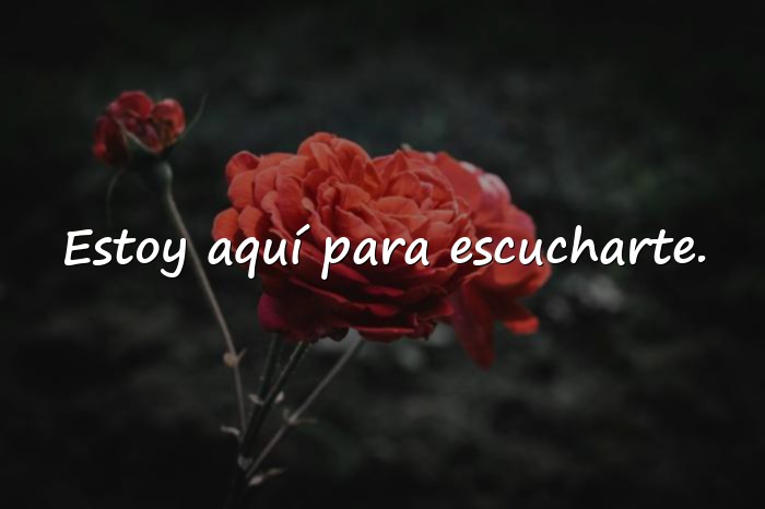 Imágenes frases de ánimo y apoyo - 17