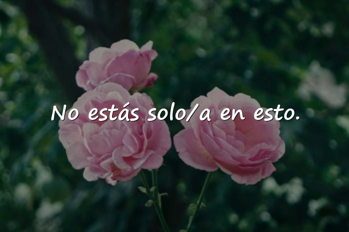 Imágenes frases de ánimo y apoyo - 14