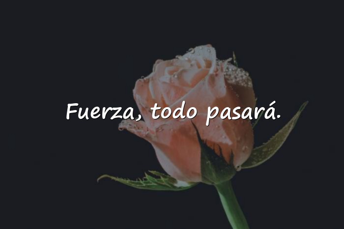 Imágenes frases de ánimo y apoyo - 5