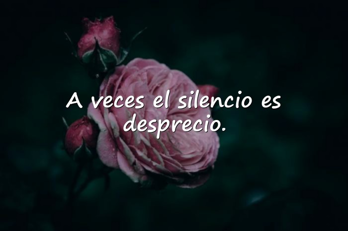 Imágenes frases de odio - 20