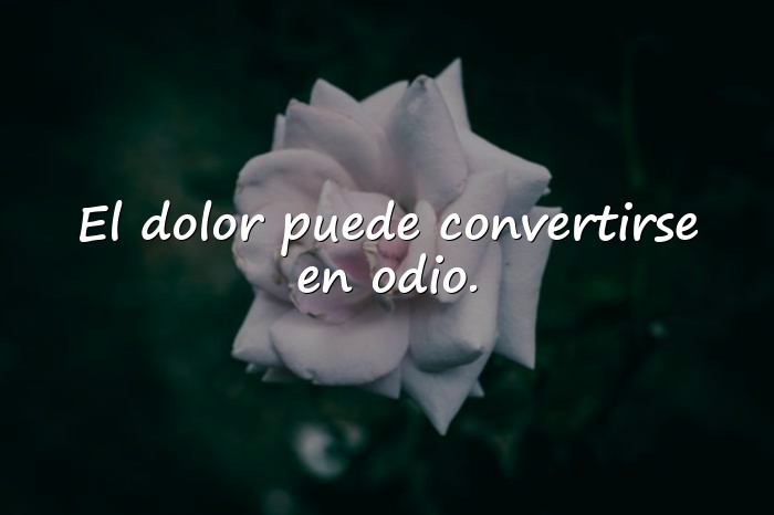 Imágenes frases de odio - 15