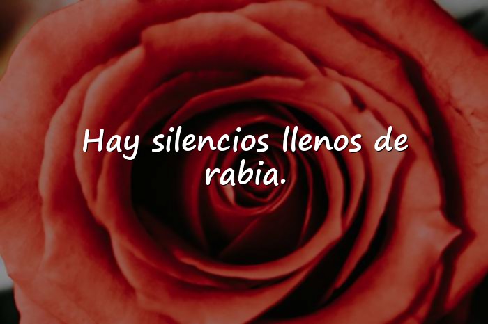 Imágenes frases de odio - 5
