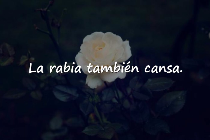 Imágenes frases de odio - 21