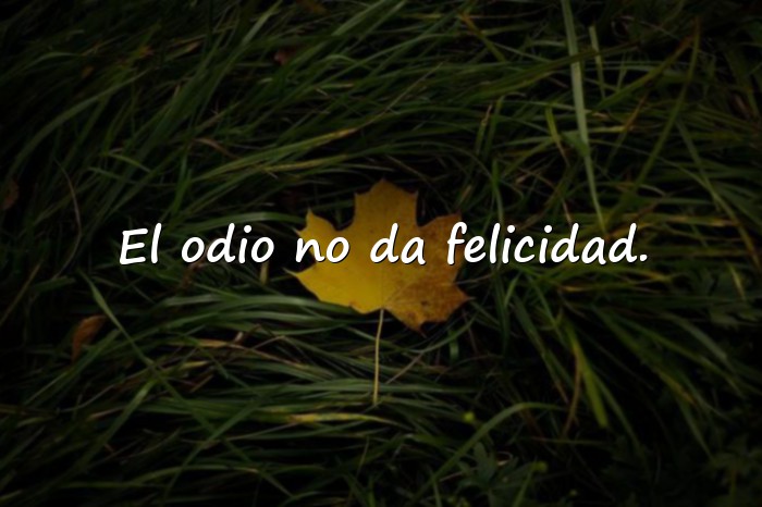 Imágenes frases de odio - 16