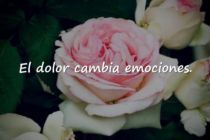 Imágenes frases de odio - 11