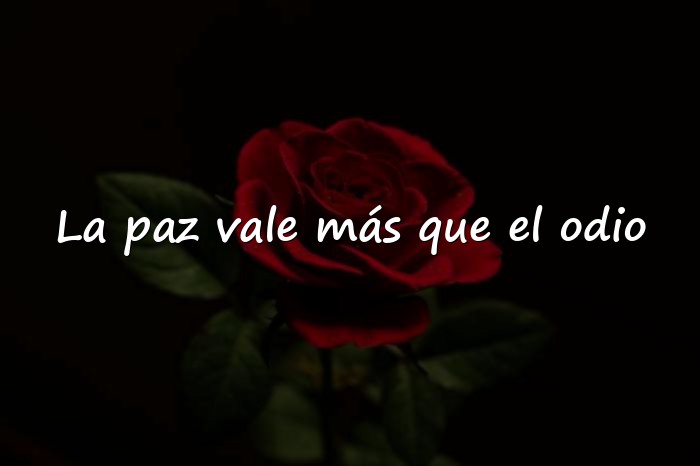 Imágenes frases de odio - 1