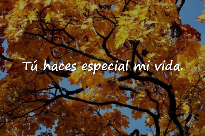 Imágenes frases de pareja - 10