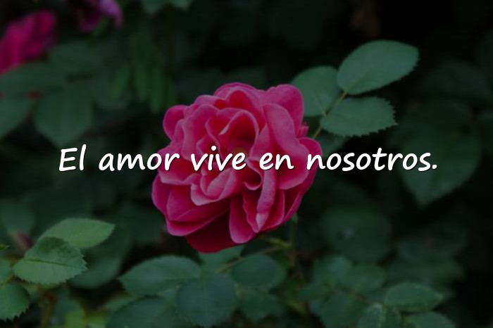 Imágenes frases de pareja - 18