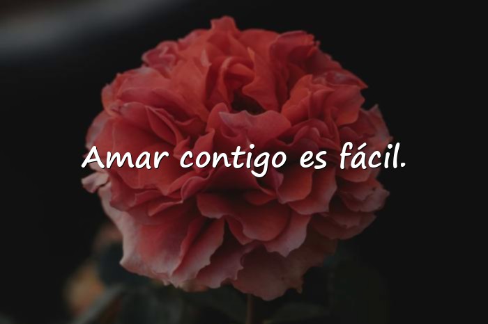 Imágenes frases de pareja - 13