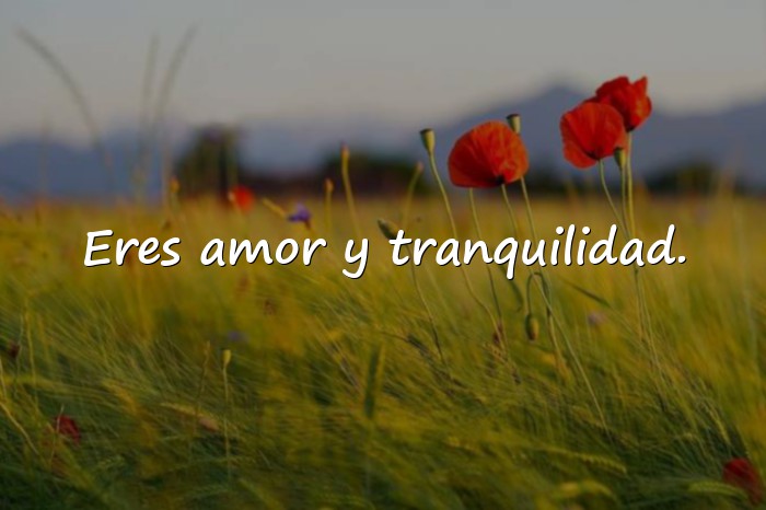 Imágenes frases de pareja - 5