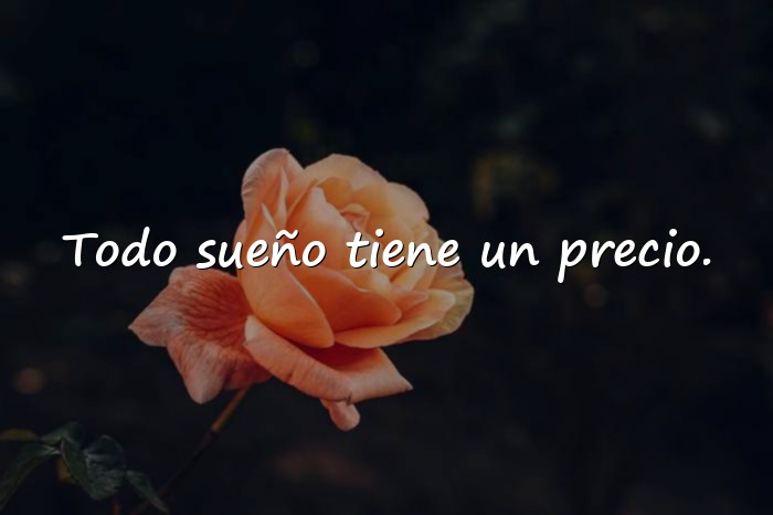 Imágenes frases de paulo coelho - 17