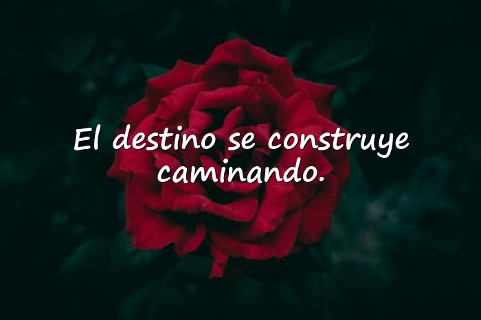 Imágenes frases de paulo coelho - 13