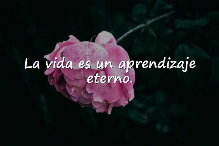 Imágenes frases de paulo coelho - 16