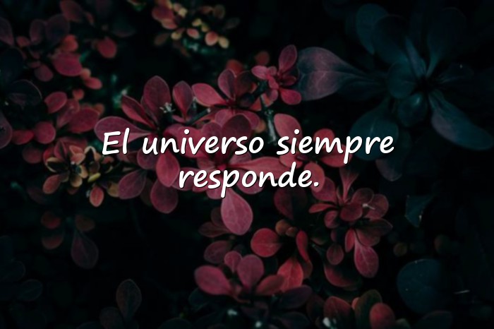 Imágenes frases de paulo coelho - 11