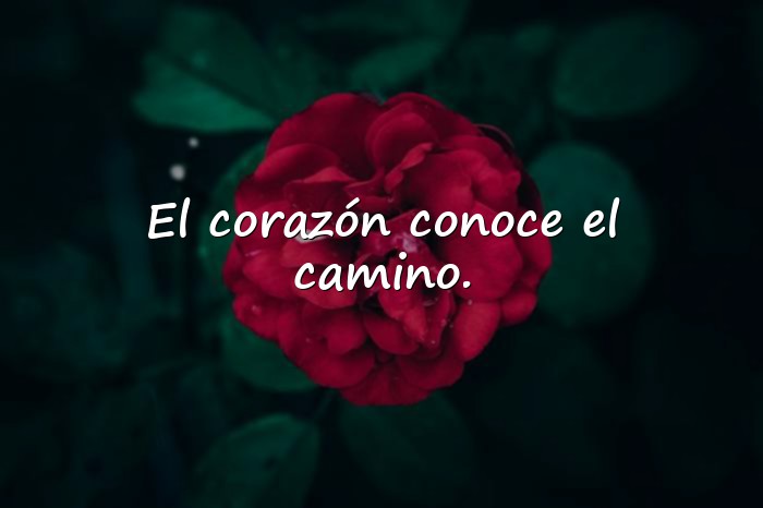 Imágenes frases de paulo coelho - 6